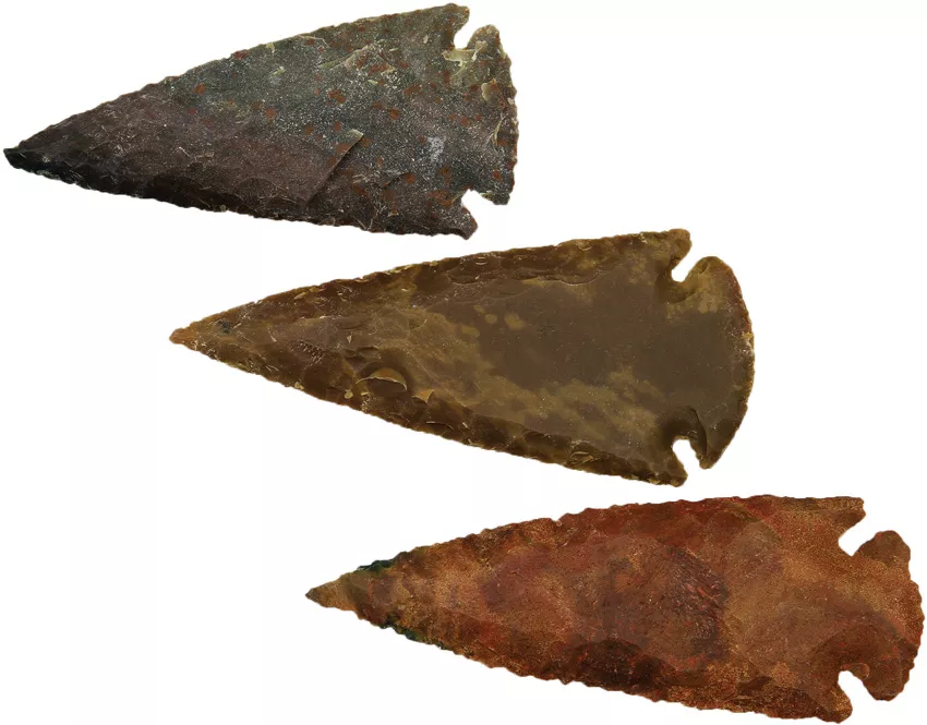 Arrowhead Assortment – Large