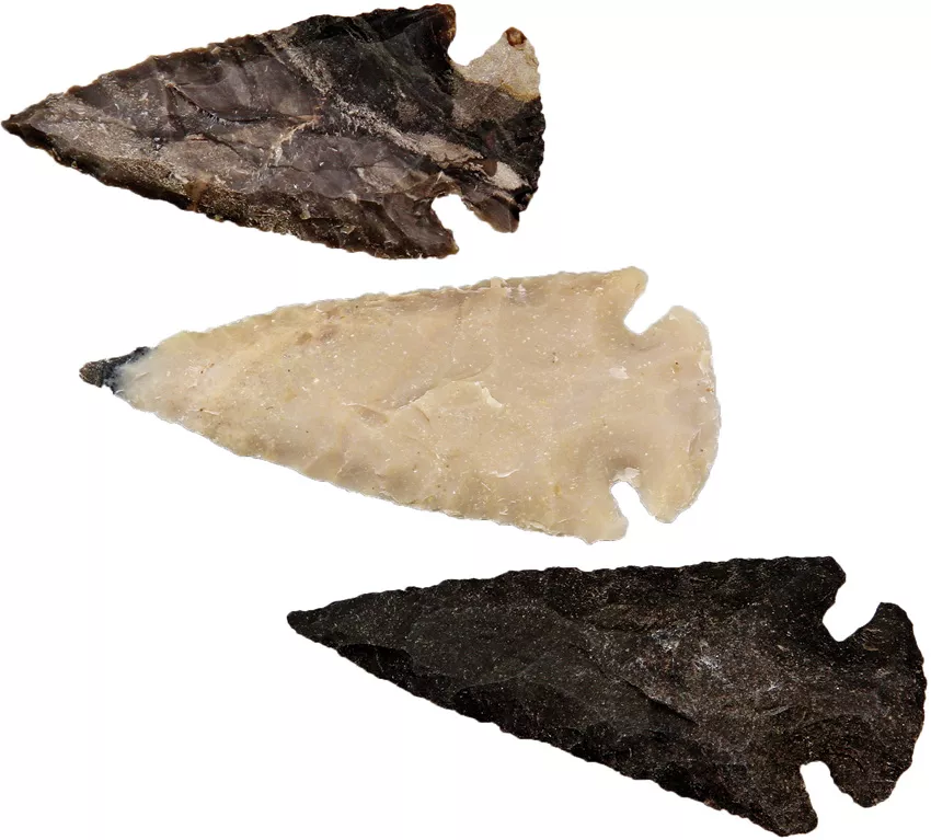Arrowhead Assortment – Medium