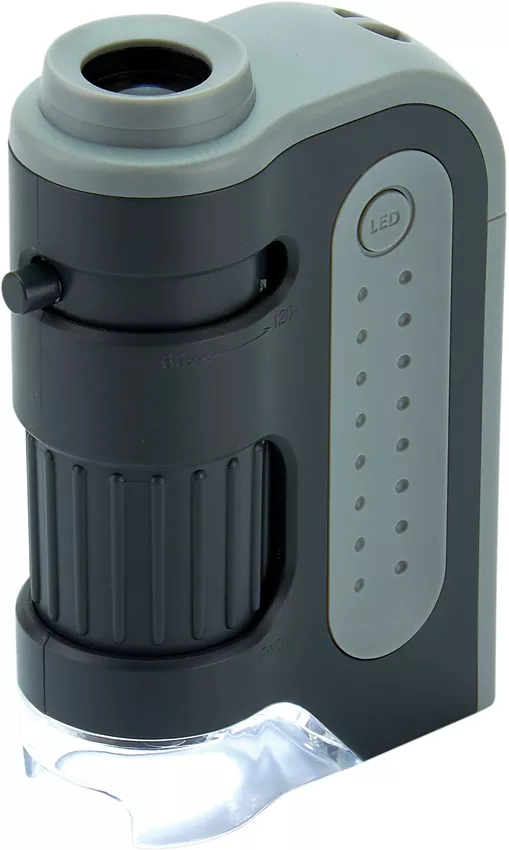 MicroBrite Plus