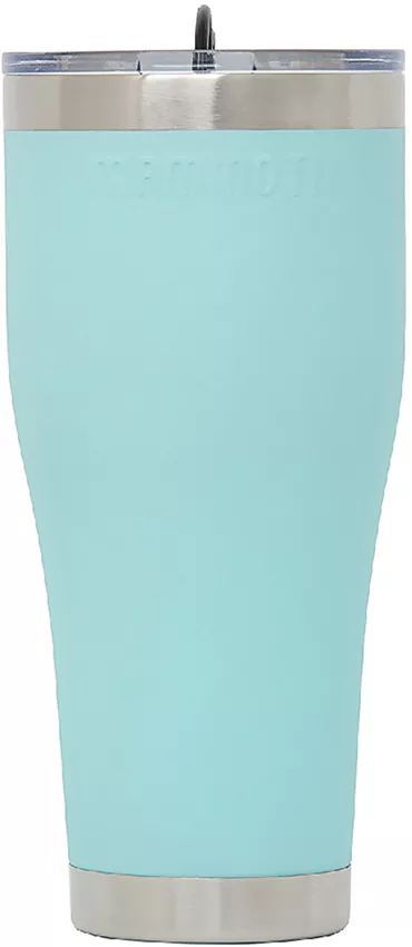 Rover Tumbler 30oz Sea Foam