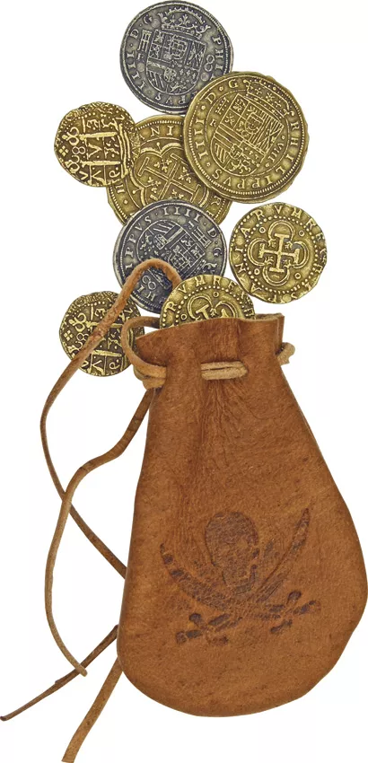The Spanish Dollar